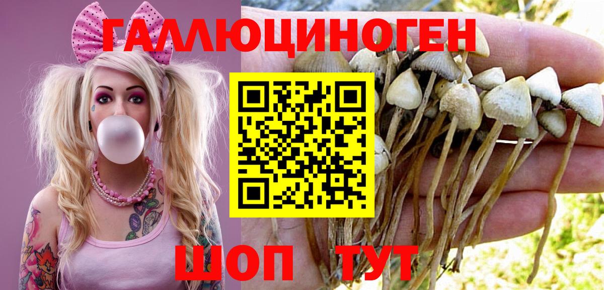 Сызрань  Псилоцибиновые грибы мицелий  Вход с VPN 