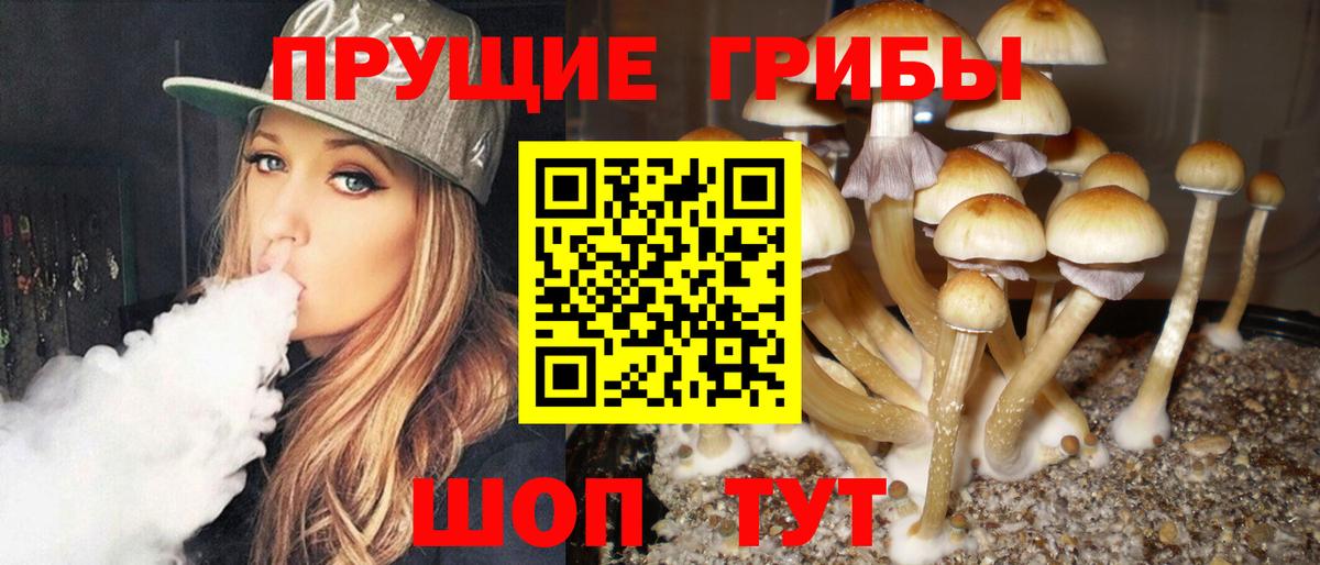 Псилоцибиновые грибы мицелий Сызрань